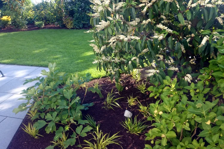 Garten- und Anlagenpflege