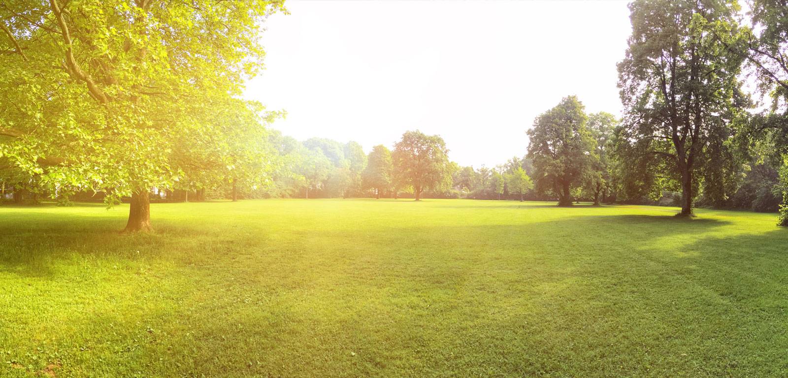 Gartenpflege und Gartengestaltung in Meckenheim, Rheinbach, Bonn und Umgebung