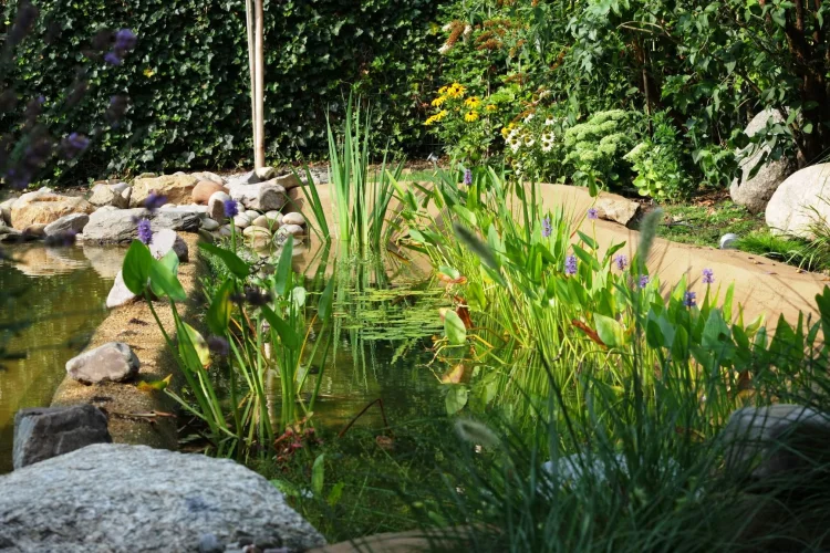 Teichanlage Detail 3