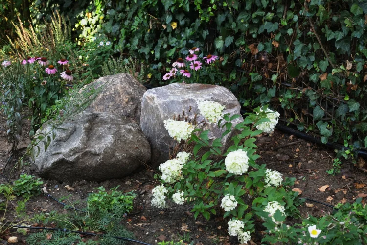 Teichanlage Detail 4