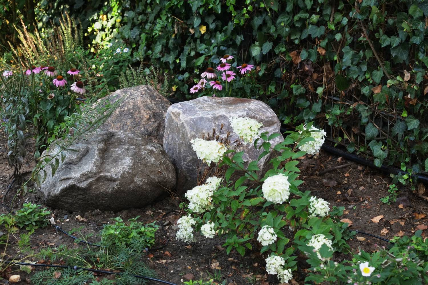 Teichanlage Detail 4