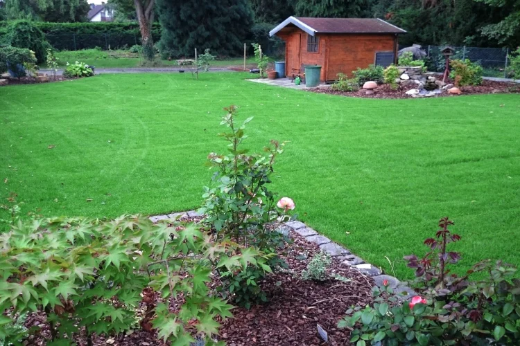 Gartenpflege und Bepflanzung in Bonn und im Rhein-Sieg-Kreis